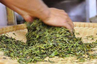 普洱茶制作技藝 殺青，茶味定格的“關鍵手”