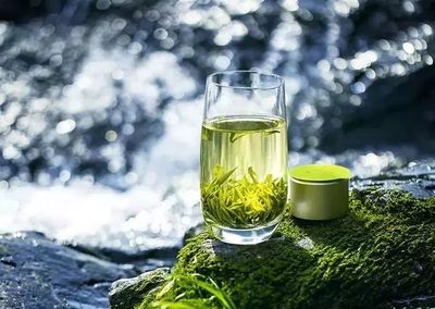 湖南農大專家在茶葉中發現新型成分，助力預防肌肉萎縮，未來或可開發為辦公健康產品