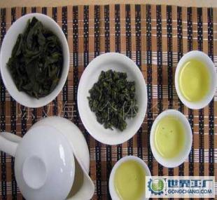 品味秋韻 2011年鐵觀音秋茶新上市，邀您共賞醇香