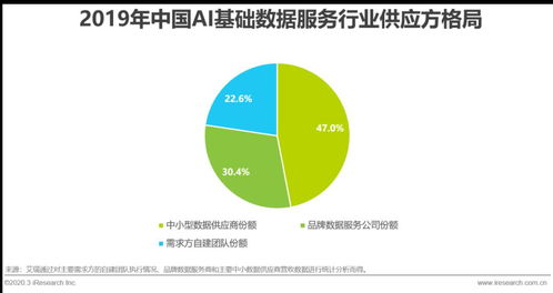 2020年中國(guó)AI基礎(chǔ)數(shù)據(jù)服務(wù)行業(yè)發(fā)展報(bào)告 軟件開發(fā)的賦能與革新